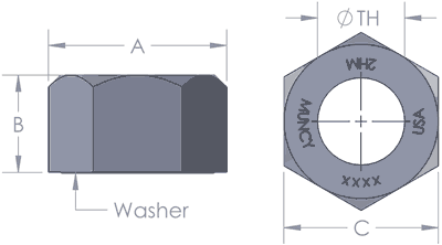 Hex Nut —